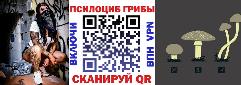 Галлюциногенные грибы прущие грибы  omg ссылки  Карачев  даркнет сайт 
