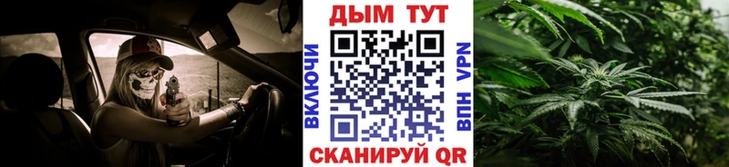 где найти наркотики Карачев Бошки Шишки план